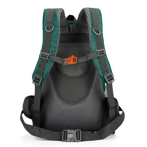 Vue dorsale ergonomique du sac à dos de randonnée vert avec maille respirante