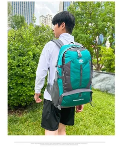 Detail of a 60L green hiking backpack with load-bearing straps on a grassy background