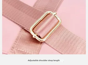 Detail of pink fabric shoulder strap with golden adjustable metal buckle on travel bag
