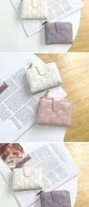 Dettagli di cuciture a stella su portafogli in pelle colorata con tasche a cerniera