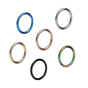 Polished G23 titanium seamless hinged segment rings in six metallic colors for nose piercings