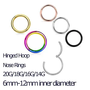 Hinged stainless steel nose rings in various colors, gauges, and diameters