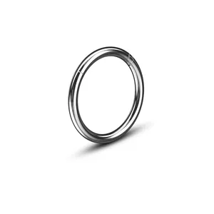 Macro shot of polished silver G23 titanium seamless hinged segment ring for body piercing