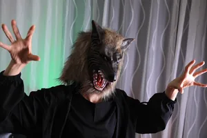 Detailed realistic werewolf mask with dark brown fur and sharp fangs for Halloween parties