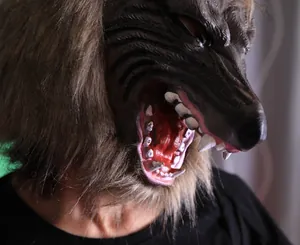 Macro view of werewolf mask featuring realistic brown faux fur and detailed sharp tusks