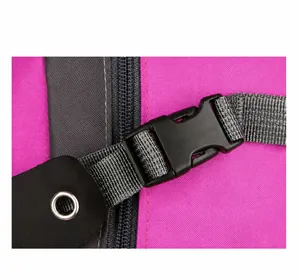 Detail shot of durable fuchsia nylon fabric, plastic buckle and metal eyelet on backpack