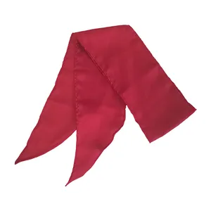 Élégant ruban à cheveux en satin rouge foncé avec pointes sur fond blanc épuré
