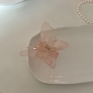 Pinza per capelli a farfalla rosa traslucida con molla dorata su piatto ceramica