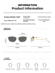 Detaillierte Größentabelle für Cat-Eye-Metallsonnenbrillen mit Maßen und Gewichtsangaben
