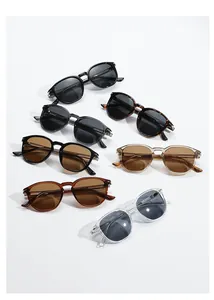 Collection of retro polarized sunglasses in black, tortoise, and transparent frame colors