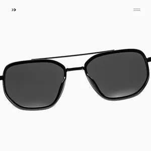 Detailed view of fashionable double-bridge sunglasses with premium black finish and metal bar