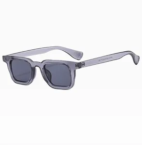Detail view showing transparent gray acetate square frame and specifications on inner temple