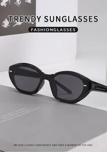 Macro view of trendy cat-eye sunglasses with gray lenses and silver metal side details