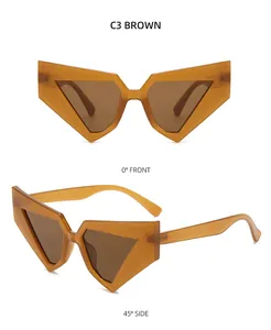 Detail view of C3 brown cat-eye sunglasses with geometric frames from front and side angles