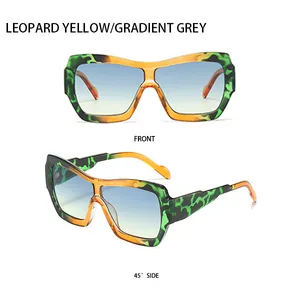Vue détaillée des angles avant et latéraux des lunettes de soleil à motif léopard