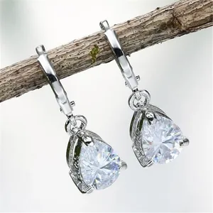Detailed view of silver pear-cut crystal leverback earrings hanging on a natural branch