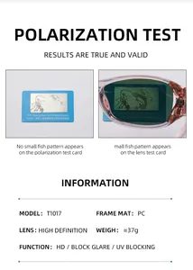 Spécifications des lunettes Y2K avec monture PC et verres HD anti-UV polarisants