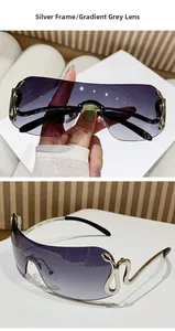 Detail of silver frame sunglasses with gradient grey lenses and snake-shaped metal temples