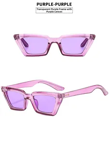 Front and 45-degree angle views of transparent purple cat-eye sunglasses on white background