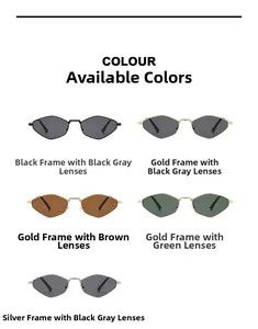 Comparaison détaillée de lunettes de soleil polygonales en métal avec cinq options de couleurs