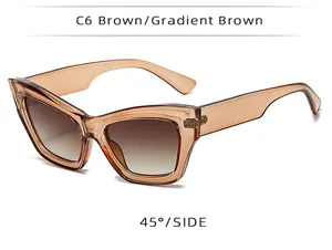 Detailed 45-degree side view of cat-eye sunglasses with transparent brown frames