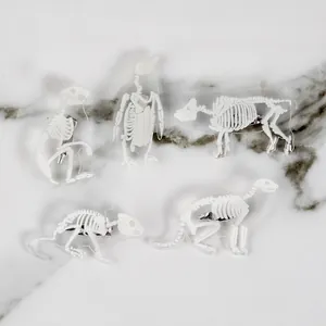 Detalle de 5 broches de esqueletos animales en acrílico transparente sobre mármol blanco