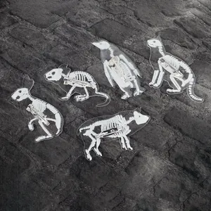 Detalle de un set de cinco pines de acrílico con diseños de esqueletos de animales