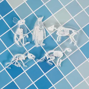 Juego de 5 broches de acrílico con motivos de esqueletos de animales conejo y gato