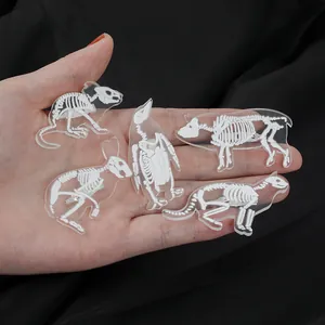 Set de broches de acrílico transparente con diseños de esqueletos de animales variados