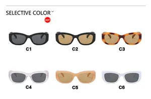 Overview of vintage cat-eye sunglasses in six color options from black to tortoiseshell