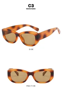 Detail view of vintage tortoise shell sunglasses with translucent brown lenses and C3 frame