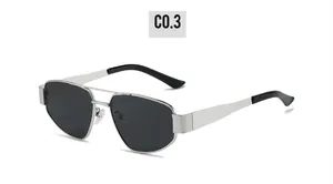 Détail de lunettes de soleil en métal argenté à double pont avec verres gris et code C0.3