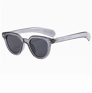 Detail view of transparent grey sunglasses frame with silver pins and inner temple text