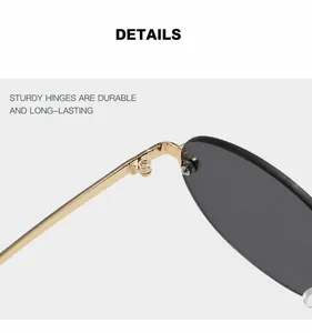 Close-up of sturdy metal hinges and durable gold temples on oval rimless sunglasses