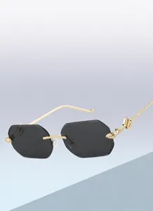 Detail van vintage zonnebril met gouden metalen pootjes in slangenvorm en grijze glazen