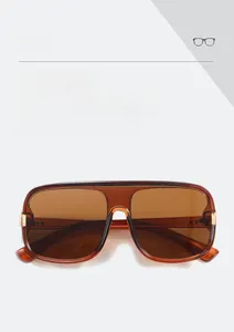 Detail view of large-frame tea-colored sunglasses with durable metal hinges