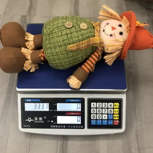 Close-up of harvest sunflower doll weight measurement on electronic scale for Thanksgiving