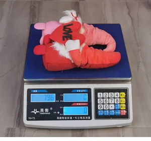Detailed view of the Valentine gnome weight measurement showing 79.6g on a digital scale