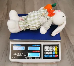 Gros plan détaillé d'un gnome lapin de Pâques en peluche pesant 287,3 g