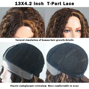 Detailed view of 13x4.2 T-part lace wig structure with elastic mesh and natural hairline