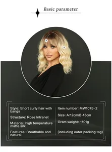 Detailed chart showing 45cm wavy ombre blonde wig specifications and internal mesh structure