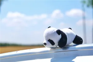 Close-up of a plush panda doll resting on a car roof with a bright blue sky background