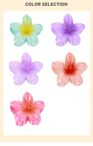 Detailset mit 5 Haarklammern in Frangipani-Form aus buntem, durchsichtigem Harz