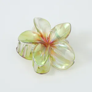 Irisierende Frangipani Haarklammer mit buntem Farbverlauf für Damen Haarschmuck