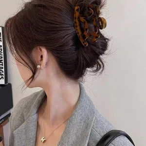 Close-up of a tortoiseshell claw clip and gold-tone H necklace on a female model