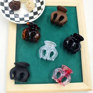 Lot de six pinces à cheveux colorées mates et brillantes dans un cadre décoratif en bois