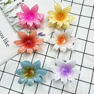 Lot de 6 pinces à cheveux fleurs dégradées pour coiffures de plage et styles floraux
