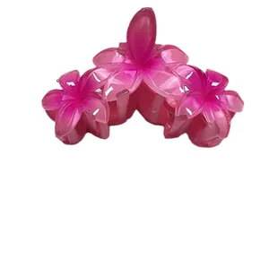 Elegante molletta per capelli rosa sfumato con raffinato design floreale in resina