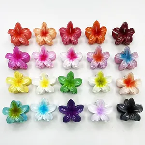 Selezione di 20 mollette per capelli a forma di fiori di plumeria sfumati per la spiaggia
