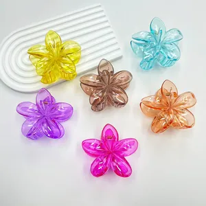 Set di sei mollette per capelli a forma di fiore traslucido in vari colori brillanti